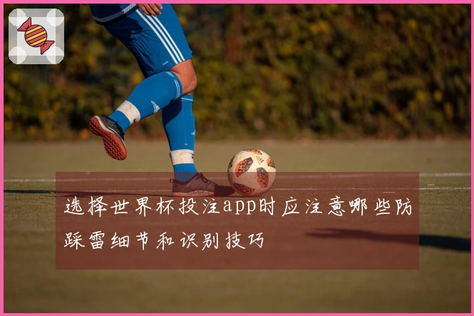 选择世界杯投注app时应注意哪些防踩雷细节和识别技巧