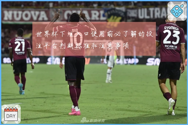 世界杯下注入口使用前必了解的投注平台判断标准和注意事项