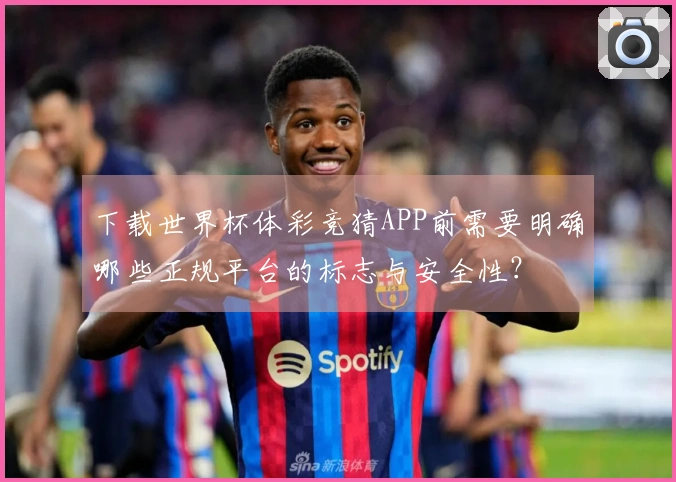 下载世界杯体彩竞猜APP前需要明确哪些正规平台的标志与安全性？