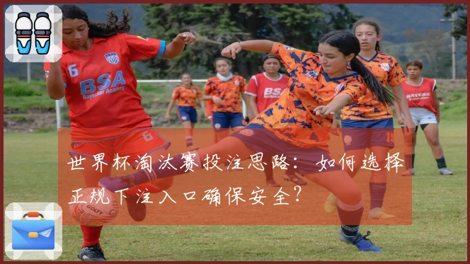 世界杯淘汰赛投注思路：如何选择正规下注入口确保安全？