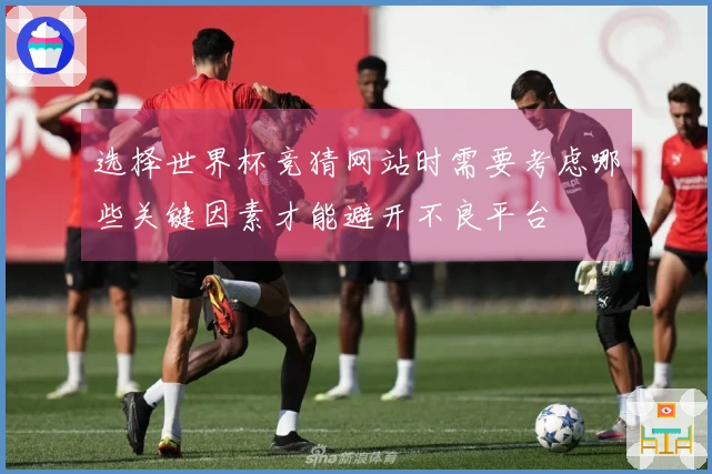 选择世界杯竞猜网站时需要考虑哪些关键因素才能避开不良平台