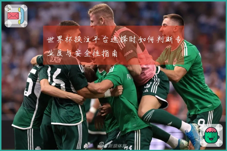 世界杯投注平台选择时如何判断专业度与安全性指南