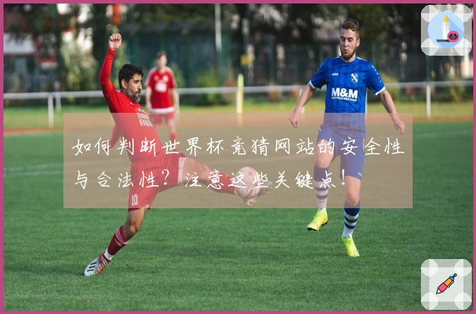 如何判断世界杯竞猜网站的安全性与合法性？注意这些关键点！