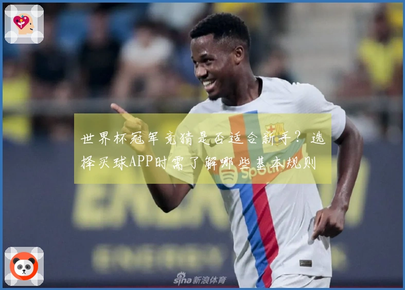 世界杯冠军竞猜是否适合新手？选择买球APP时需了解哪些基本规则