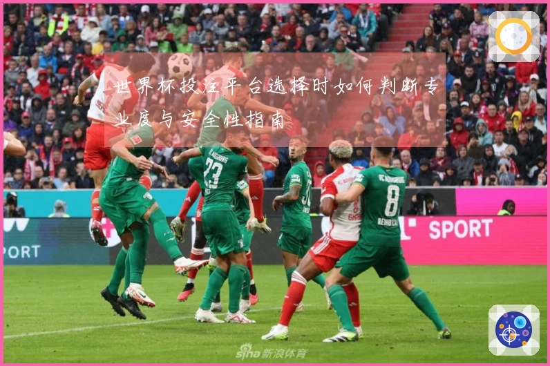 世界杯投注平台选择时如何判断专业度与安全性指南